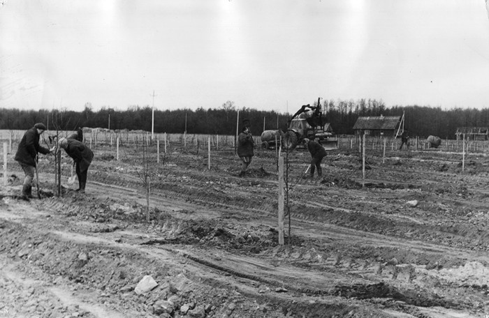 Sõpruse kolhoosi õunaaia rajamine Kassarisse
