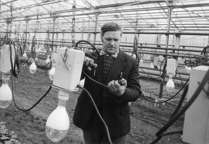 Sõpruse kolhoosi Jausa aiandi valguslambid