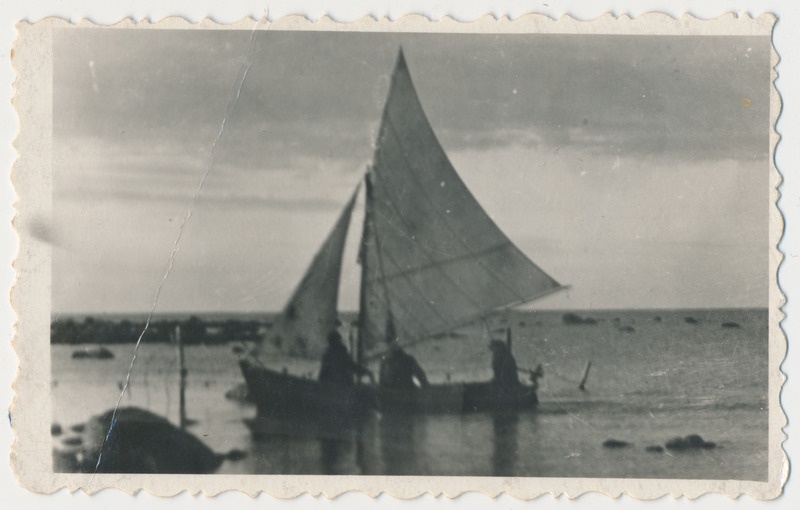 Kolm meest purjedega kalapaadis. Kalurite saabumine Kolgalt 1950.