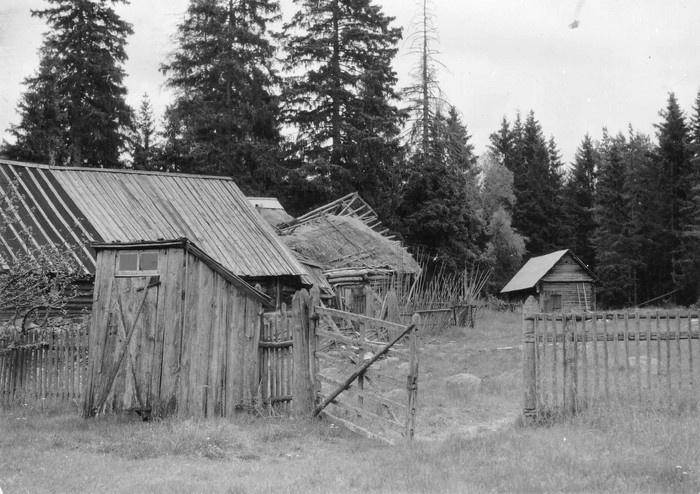 Mihkli talu. Kõrvalhooned (välikäimla, laut, tall, saun)