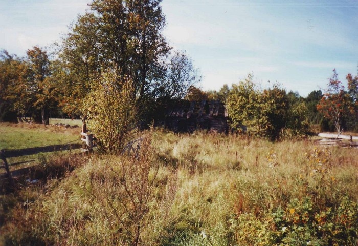 Kõpu küla Sepa talu lagunenud sepikoda. Esiplaanil lagendik, vasakul aed.