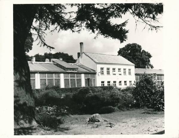 Tartu botaanikaaia kasvuhooned.