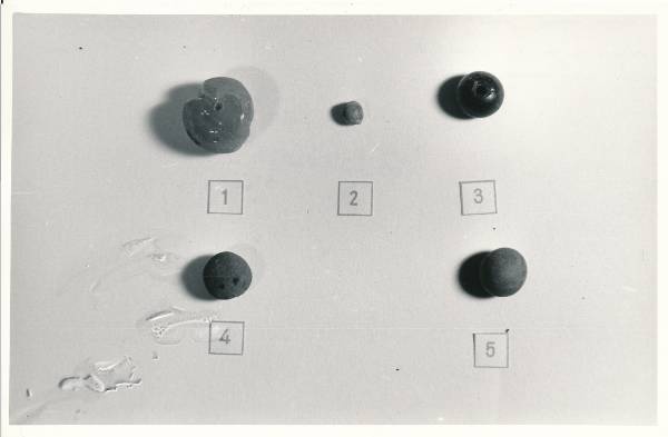Arheoloogialeid. Leiud kaevamistelt Tartu Toomemäel. 1980.a.
