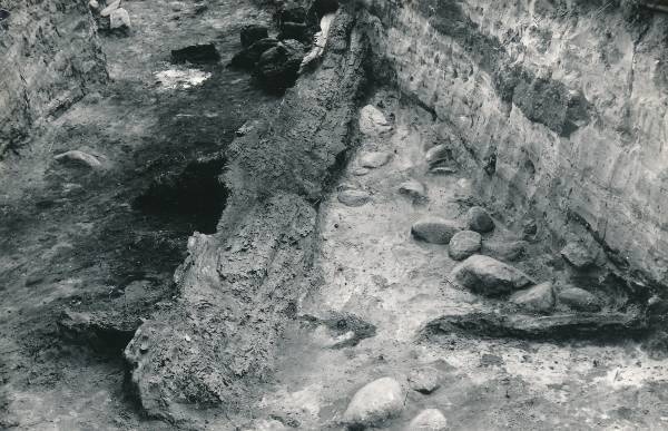 Arheoloogiline kaevamine Tartus 1979a. Kaevise keskosa, linnuse puitpiire.