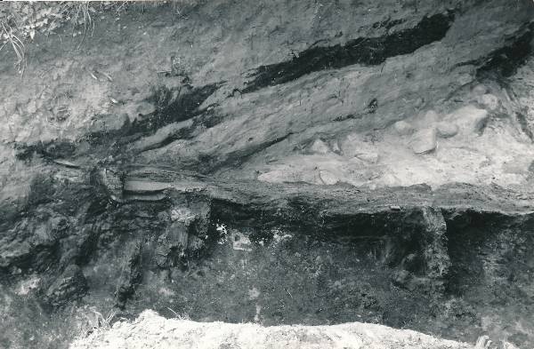 Arheoloogiline kaevamine Tartus 1979a. Kaevise keskosa, linnuse puitpiire.