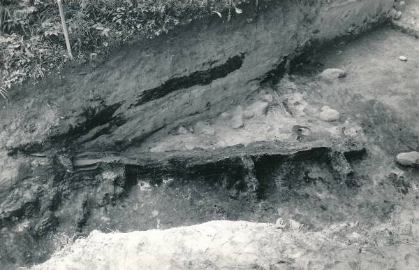 Arheoloogiline kaevamine Tartus 1979a. Kaevise keskosa, linnuse puitpiire.