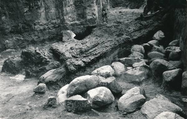 Arheoloogiline kaevamine Tartus 1979a. Kaevise keskosa, linnuse puitpiire.