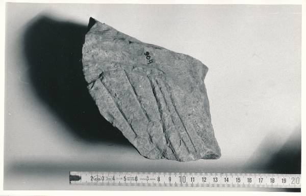 Arheoloogialeid. Leiud kaevamistelt Tartu Toomemäel. 1980.a.