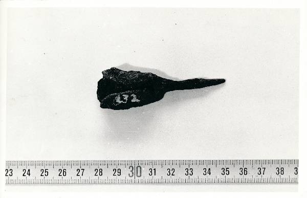 Arheoloogialeid. Leiud kaevamistelt Tartu Raekoja platsil. 1981.a.