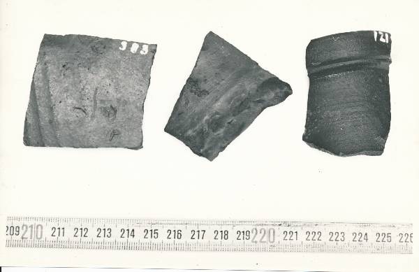 Arheoloogialeid. Leiud kaevamistelt Tartu Raekoja platsil. 1981.a.