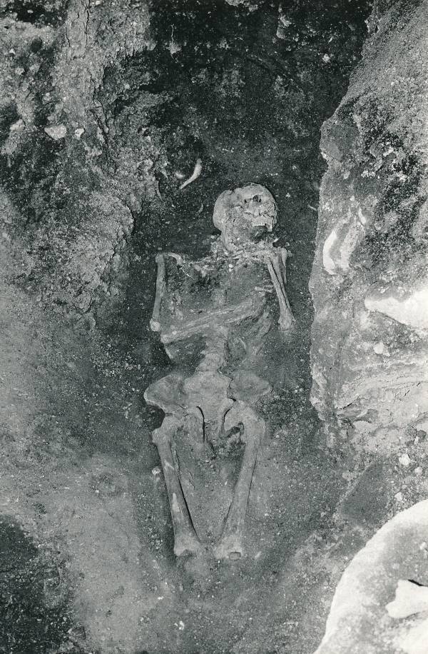 Arheoloogilised kaevamised Tartus 1981/82. a. Luustik Botaanikaaia kaevandis.