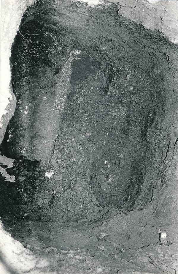 Arheoloogilised kaevamised Tartus 1981/82. a. Botaanikaaia kaevand.