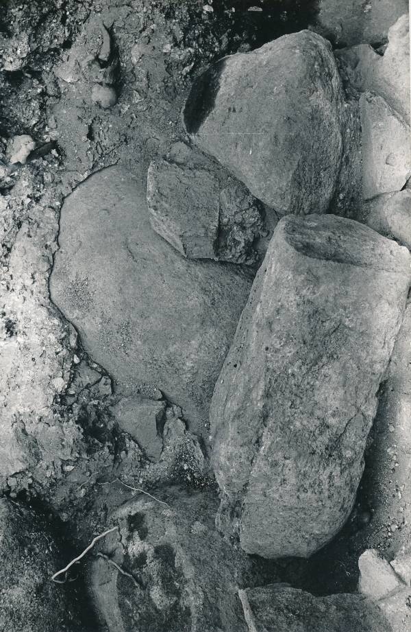 Arheoloogilised kaevamised Tartus 1981/82. a. Botaanikaaia kaevand.