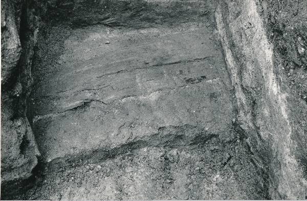 Arheoloogilised kaevamised Tartus 1981/82a. Botaanikaaia kaevand.