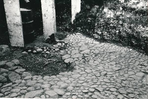 Arheoloogilised kaevamised Tartus 1981/82a. Botaanikaaia kaevand.