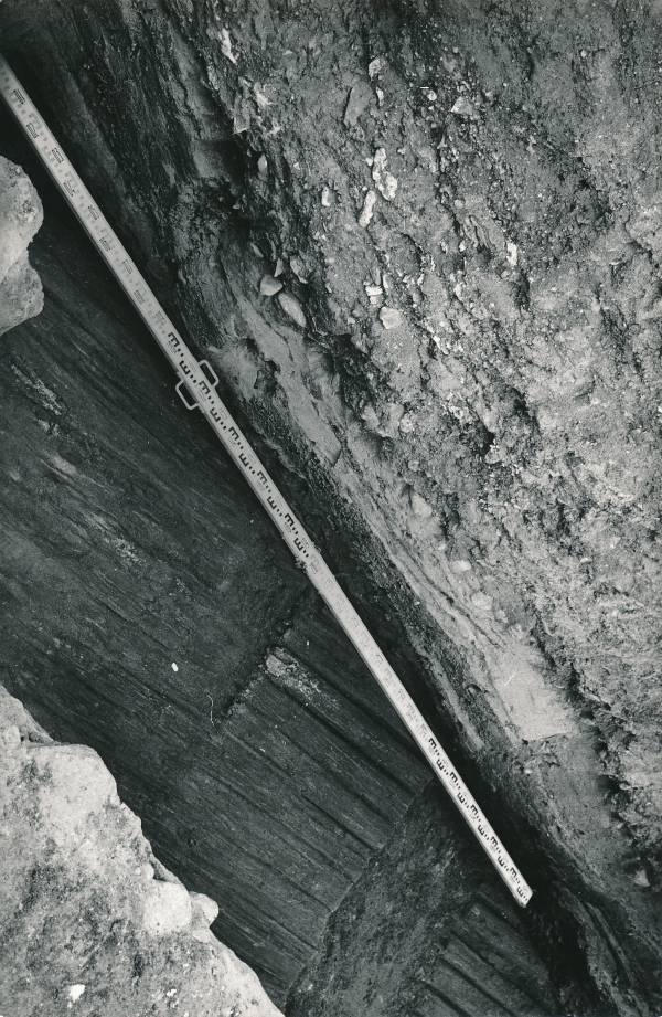 Arheoloogilised kaevamised Tartus 1981/82a. Botaanikaaia kaevand, puitsillutis.