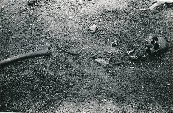 Arheoloogilised kaevamised Tartus 1981/82a. Luustik Botaanikaaia kaevandis.