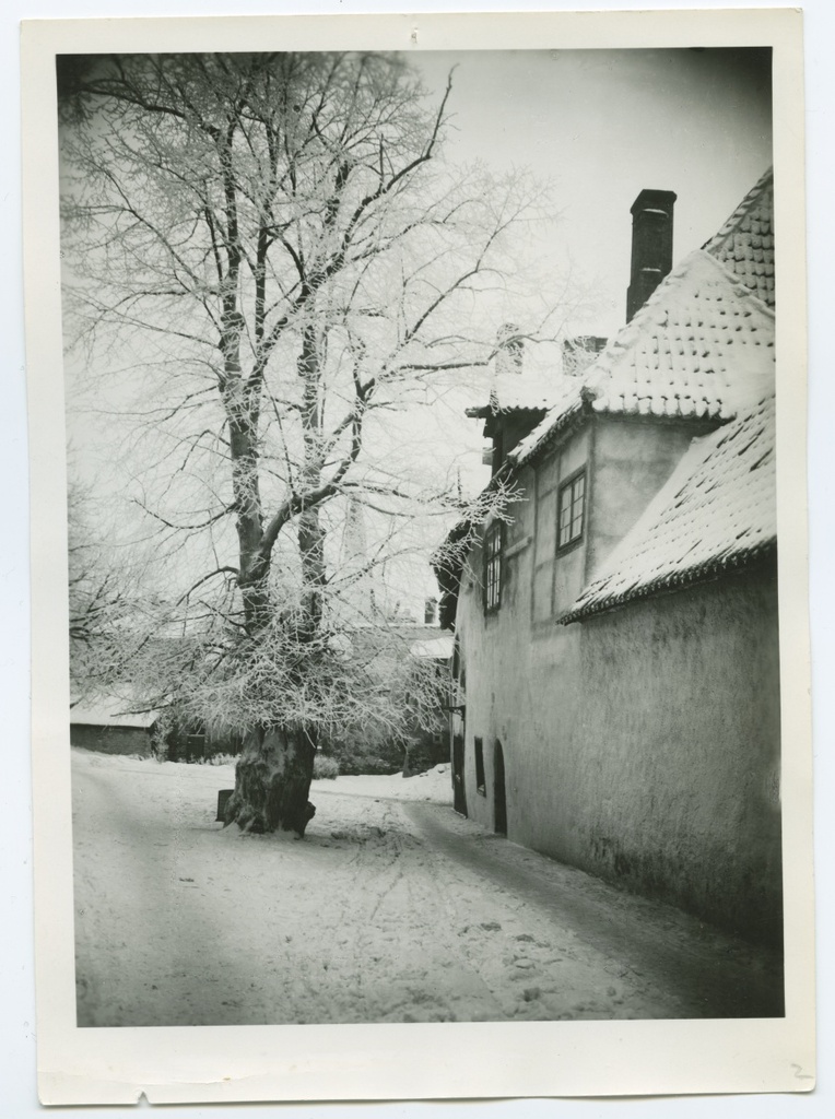 Tallinn, Niguliste kiriku õu talvel.