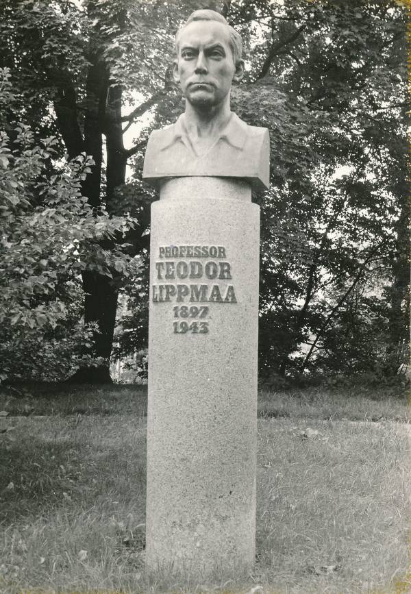 Tartu linnavaade. Teodor Lippmaa monument, Lai tn 38, Tartu Ülikooli Botaanikaaias. 1985.a.