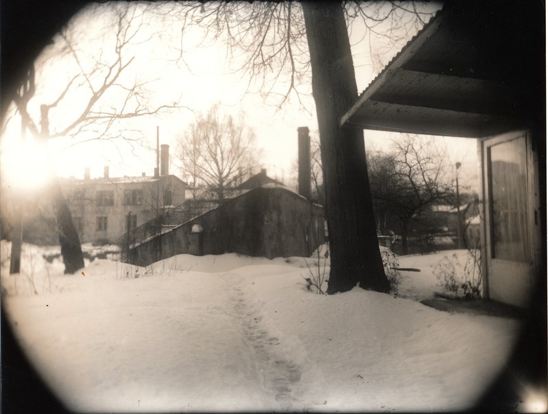Kunstfoto. Tartu Botaanikaaed talvel.