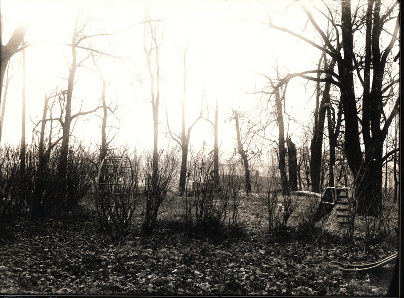 Kunstfoto. Jaama tn lasteaed Tartus.