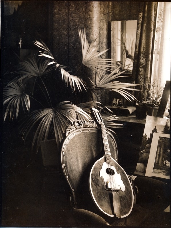 Kunstfoto. Tugitoolile asetatatud mandariin, taustaks suur toataim, pildistatud Tartus Oa 1-1.