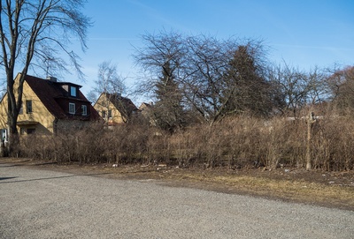Sirbi street houses rephoto