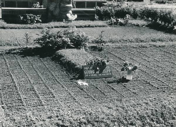 Tartu linnavaade. TÜ farmakoloogiaprofessor Georg Kingisepa (1898–1974) haud Raadi kalmistul. 18.08.1984.a.