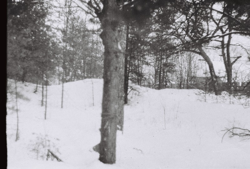 Negatiiv. Liivaluited Tammiste mõisa juures