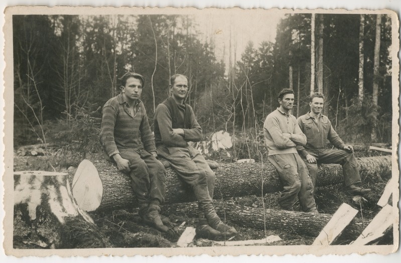 Foto. Metsatööd Mõisaküla metskonnas