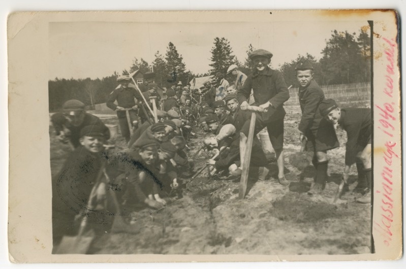 Foto. Laiksaare vald. Massiaru kooliõpilased kuusehekki istutamas