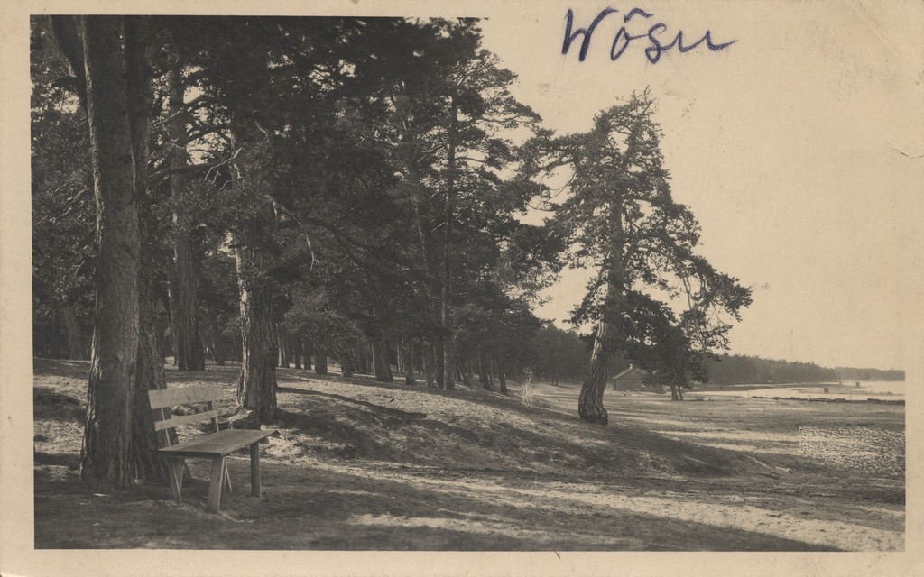Võsu
