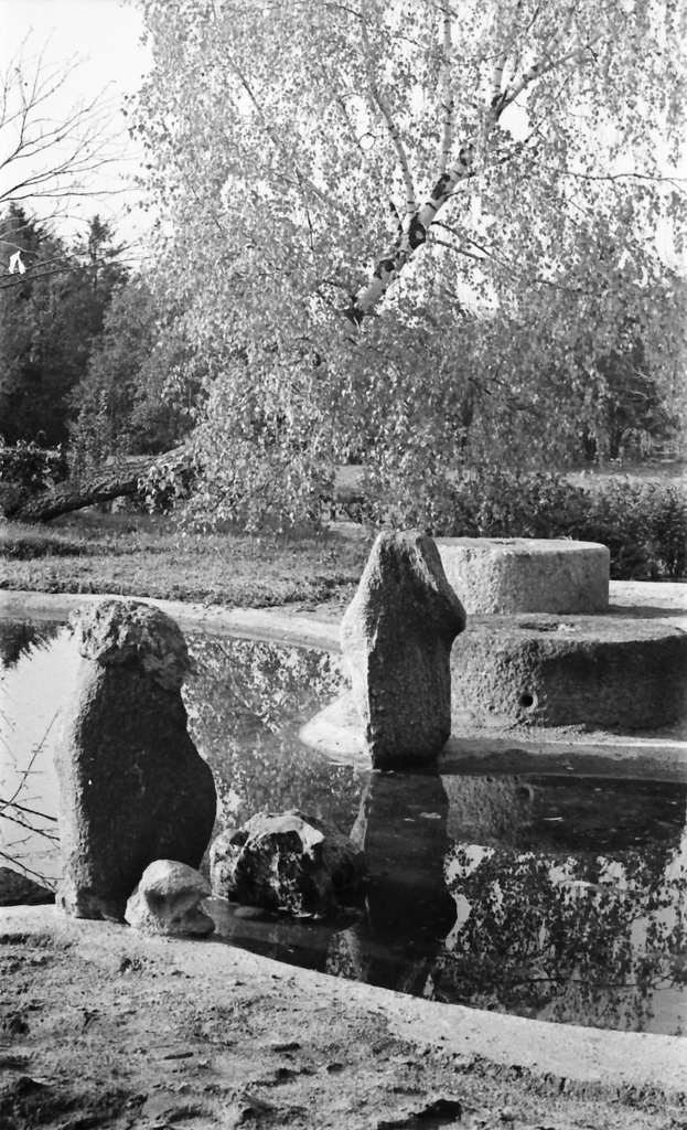 Vohnja kolhoosi peaagronoom H. Reimanni koduaed