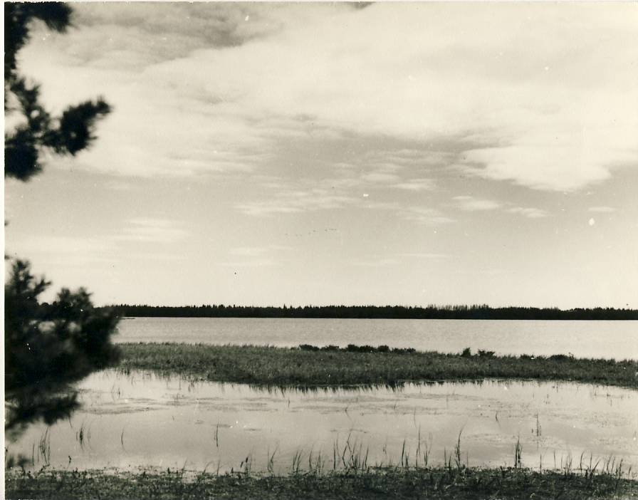 Ohepalu järv