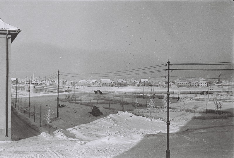 Fotonegatiiv