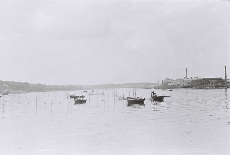 Fotonegatiiv