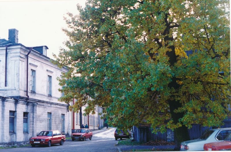 Värvifoto. Vaade Suur-Mere tänavale Tagalahe kaldalt.