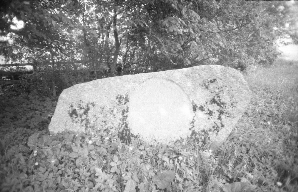 Mälestuskivi Adam Johann von Krusensterni sünnikohas Hagudi mõisa õuel