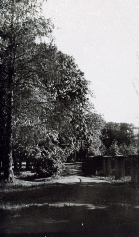 Saku park