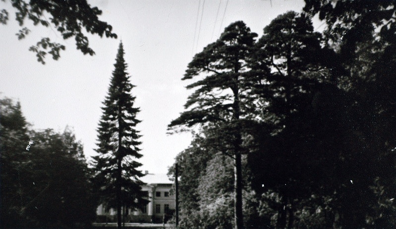 Saku park