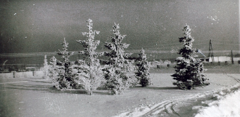 Talvine Saku asula