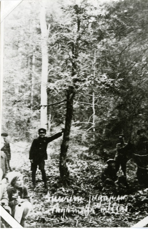 Pidula algkooliõpilased metsapäeval Tagamõisa suurima jugapuu juures