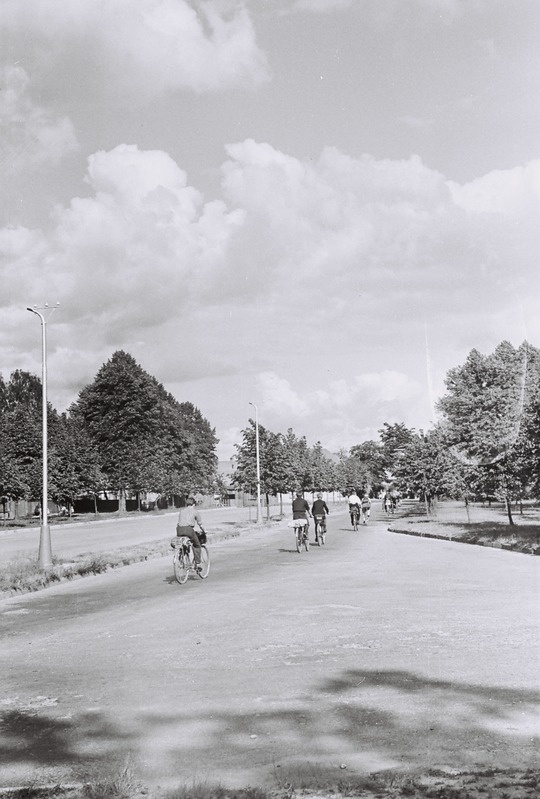 Fotonegatiiv