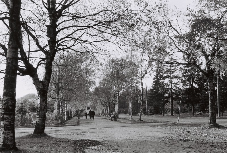 Fotonegatiiv