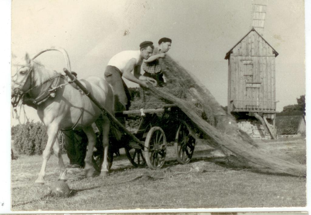 Schmuul, Jaanus ja Noor, Raul Koguvas mõrda korjamas