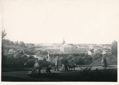 Fotokoopia joonistusest. Tartu linnavaade Toomemäelt. 19. sajand.  duplicate photo
