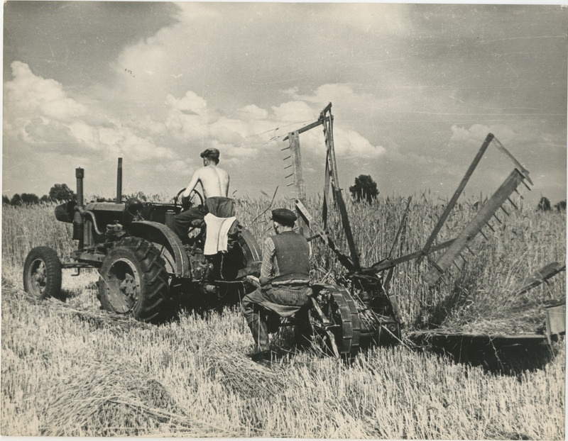 Foto, 1970-ndad. Viljalõikus kolhoosis.