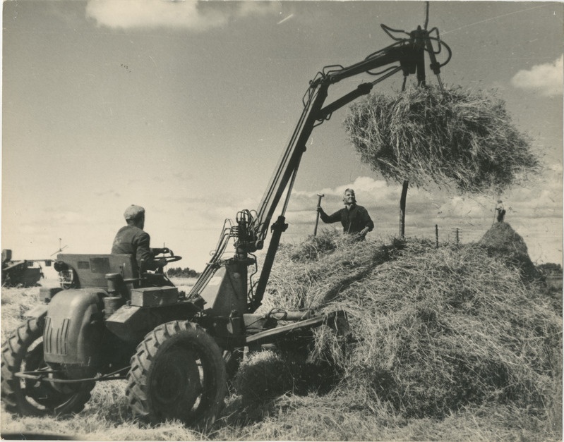 Foto, 1970-ndad. heina tõstmine rõukudesse.