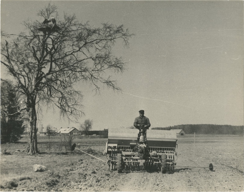 Foto, 1970-ndad. Viljalõikus kolhoosis.
