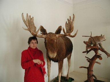 Digifoto. Tartu linnamuuseumi töötaja Tiia Reisner Viljandi muuseumi püsinäitust vaatamas, 21.02.2005.